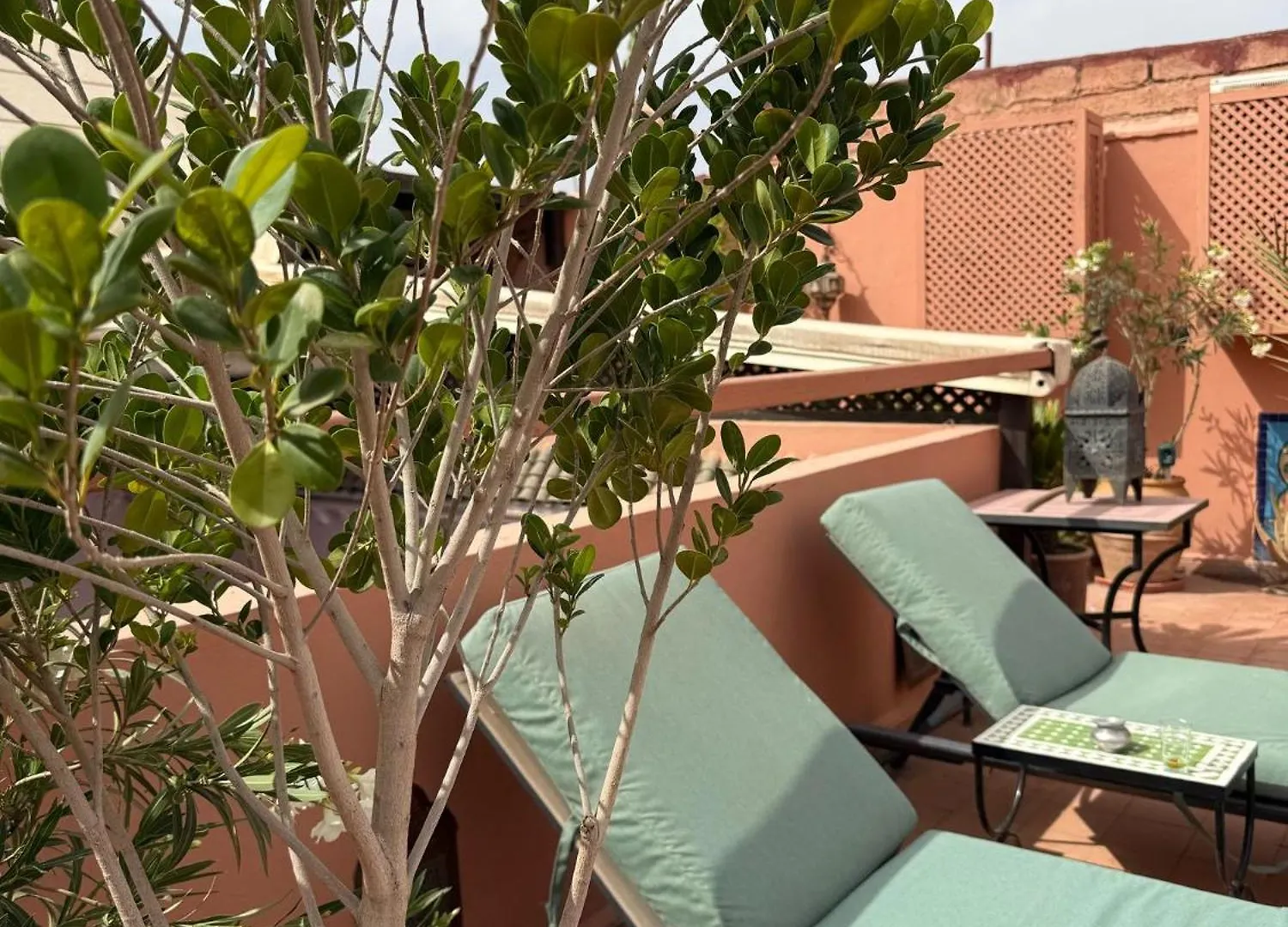 ***  Riad Lauriers Blancs Marrakesh Marruecos