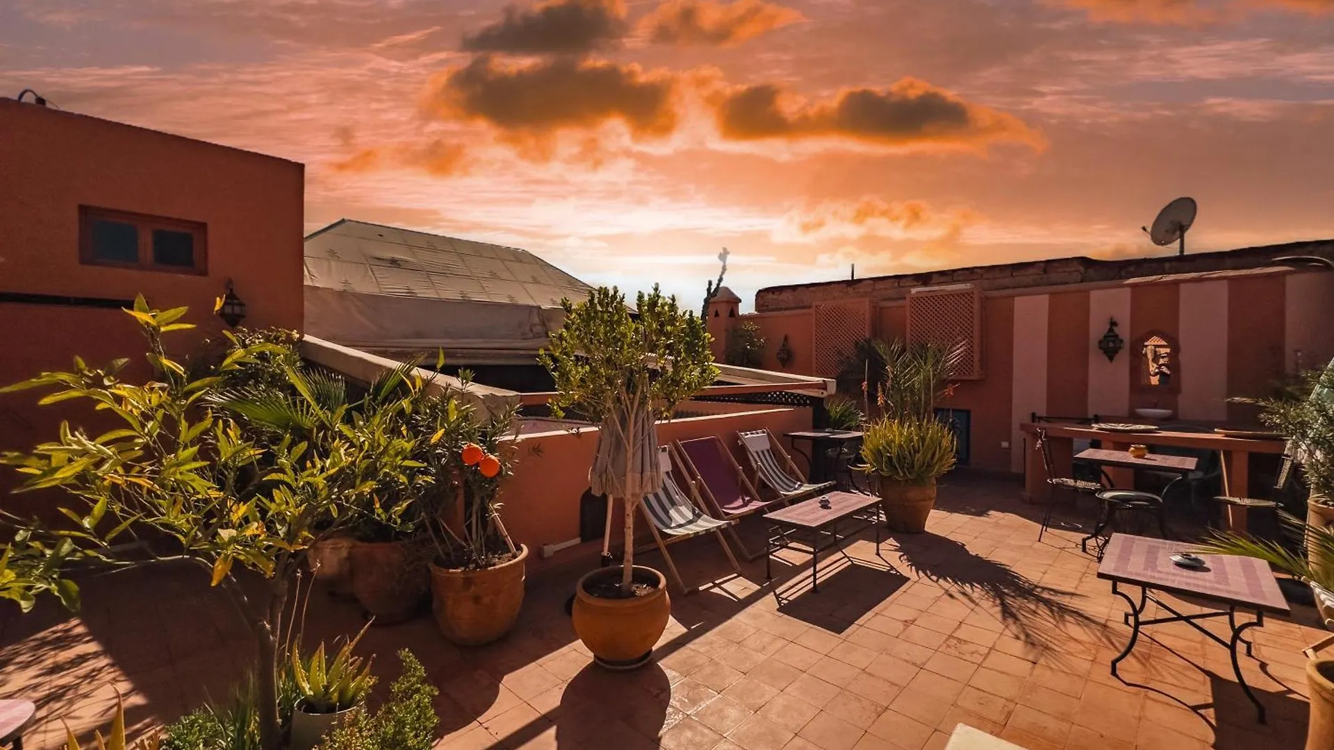 Riad Lauriers Blancs Marrakesh