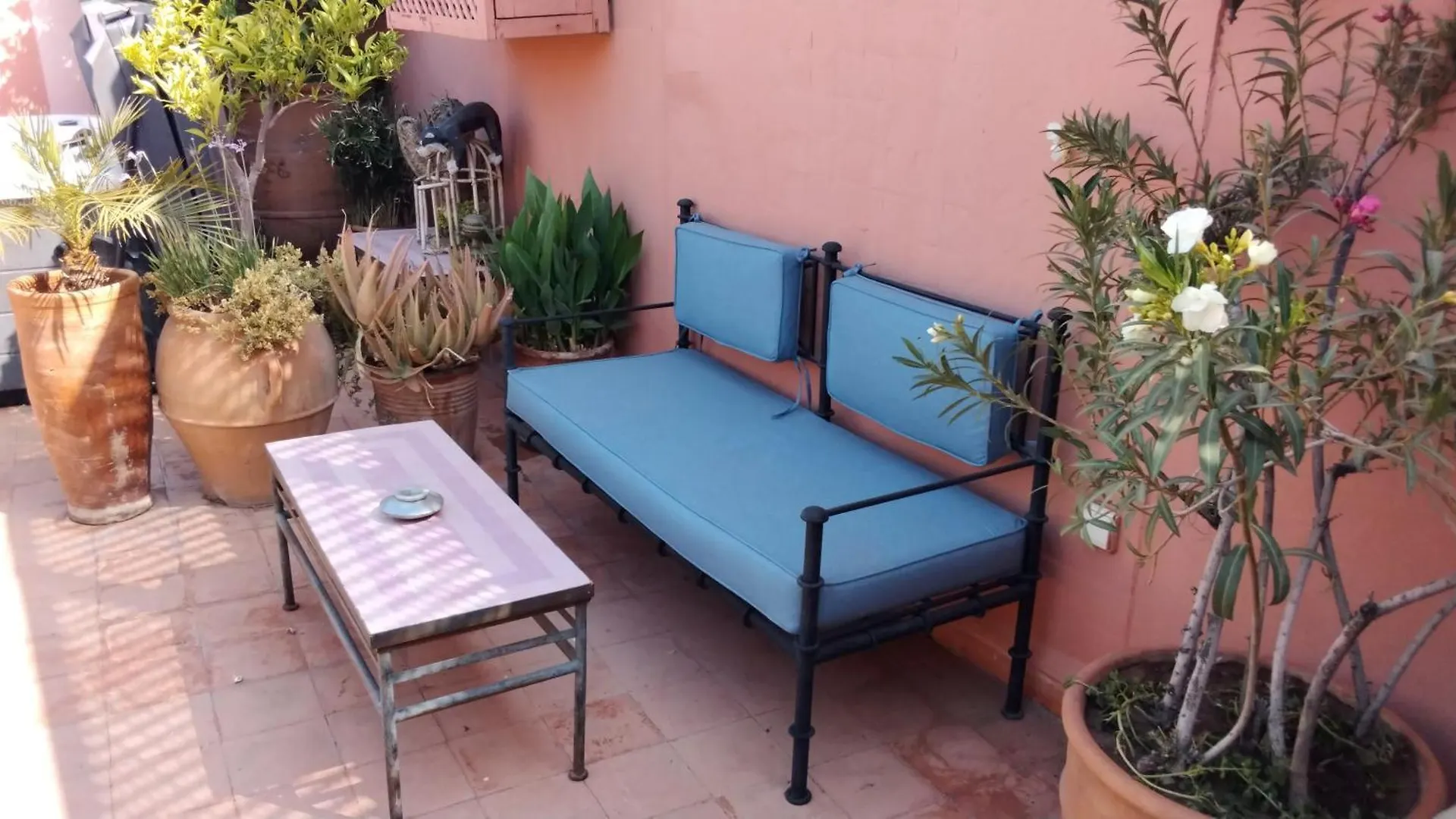 מרקש Riad Lauriers Blancs